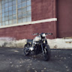 Meet your Posher, Dusty